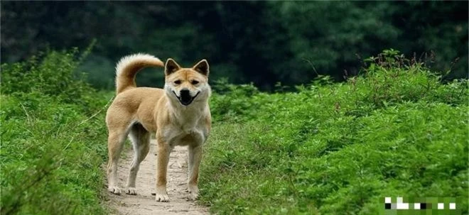 300-khong-so-ma-khoc-chi-so-cho-hu-ngoisaovn-w1280-h588 0 300-khong-so-ma-khoc-chi-so-cho-hu-ngoisaovn-w1280-h588 0