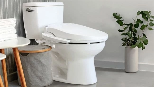 Tại sao bồn cầu toilet luôn có màu trắng 1