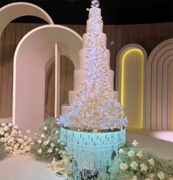 Đám cưới xa hoa của tỷ phú công nghệ và Công chúa Dubai: Váy đính kim cương, bánh cưới 7 tầng!- Ảnh 6.