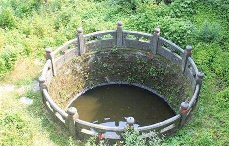 Người xưa khi xây xong giếng tại sao lại thả một ít cá và rùa vào trong giếng? Trí tuệ của tổ tiên quả không chê vào đâu được!