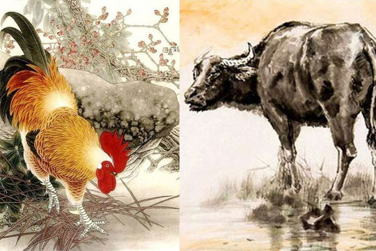 Năm cung hoàng đạo hợp nhau một khi hợp tác thì phát tài, vận vượng