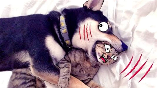 cho-meo-ghet-nhau (1).jpg 2 cho-meo-ghet-nhau (1).jpg 2