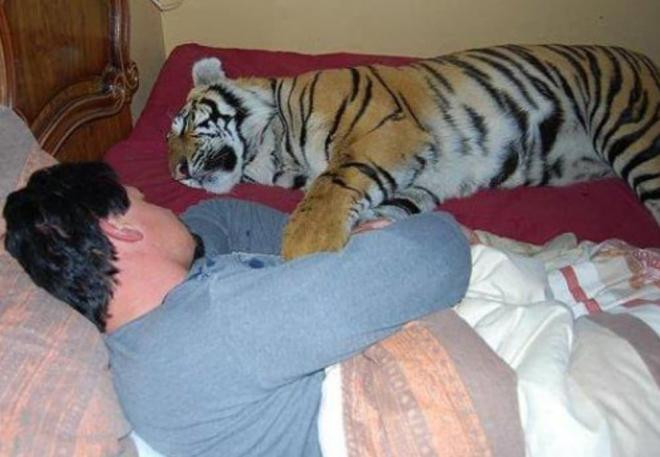 'Trước khi đi ngủ đừng sờ vào ba thứ, đừng làm ba việc', câu nói này có ý nghĩa gì?