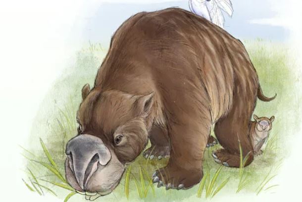 Phát hiện kinh dị: Hài cốt 'quái thú có túi' nặng gần 3 tấn