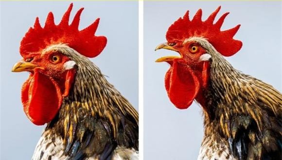 dieu-dung (1).jpg 9 khoa học, khám phá bí ẩn, kiến thức