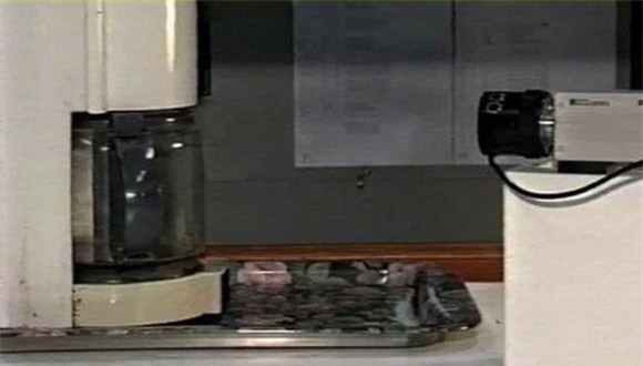 dieu-dung (1).jpg 3 khoa học, khám phá bí ẩn, kiến thức