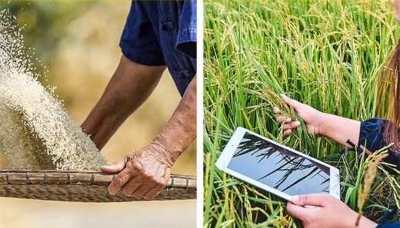 dieu-dung (1).jpg 7 khoa học, khám phá bí ẩn, kiến thức