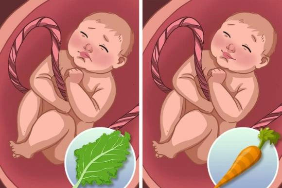 Trong bụng mẹ, thai nhi có tè không? 7 sự thật ít biết về thai nhi