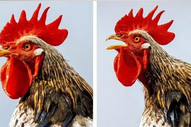 10 sự thật kỳ lạ nghe có vẻ lạ nhưng đã được khoa học chứng minh