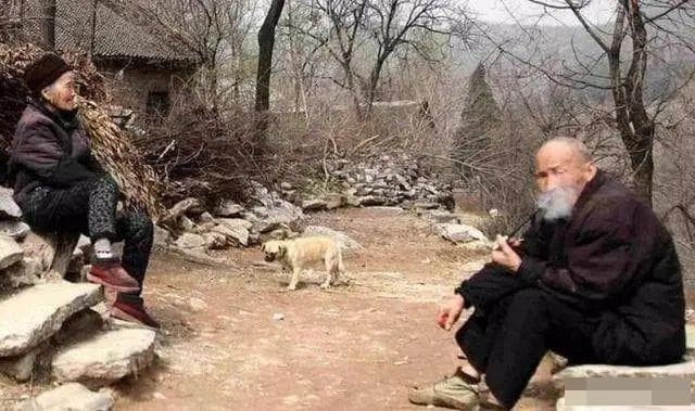 'Đàn ông sợ gà, đàn bà sợ cừu', tại sao ông bà ta lại nói như vậy?