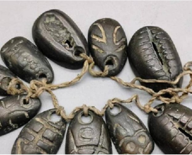 Vỏ sò là tiền tệ một thời của Trung Hoa cổ đại, tại sao người xưa không nhặt nhiều vỏ sò hơn để làm giàu?