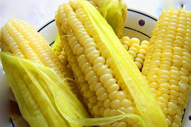 Có 2 điều cấm kỵ khi ăn ngô luộc, nhất là điều kiêng kỵ đầu tiên, nhiều người thường mắc phải