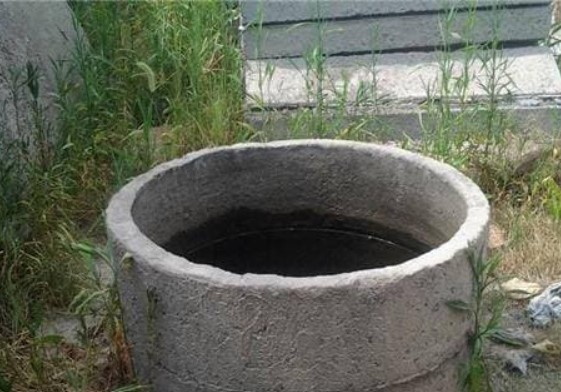 Người xưa khi xây xong giếng tại sao lại thả một ít cá và rùa vào trong giếng? Trí tuệ của tổ tiên quả không chê vào đâu được!