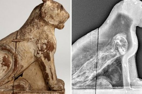 Xác ướp mặt chó được tìm thấy ở Ai Cập, không cần chụp X-quang, nhưng thật tàn nhẫn khi phát hiện ra có một thứ đáng sợ ẩn bên trong nó