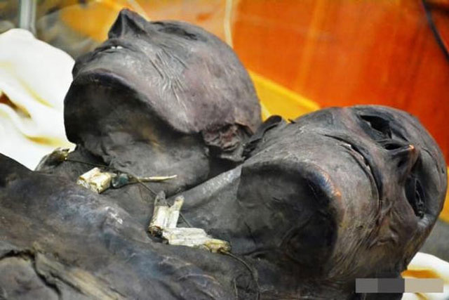 Xác ướp hai đầu khổng lồ được tìm thấy ở Patagonia, Argentina