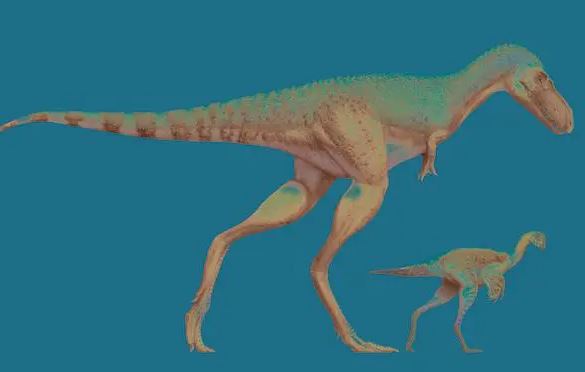 Phát hiện bất ngờ trong bụng khủng long bạo chúa