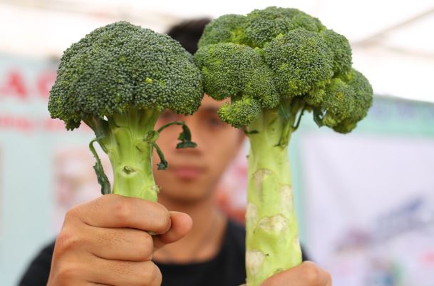 Chị em chỉ việc áp dụng những mẹo quan sát này đảm bảo mua được rau củ quả ngon, không dính hóa chất