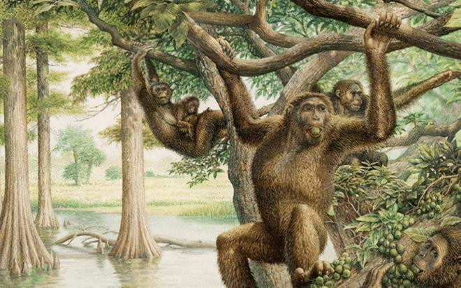 Con người có thiên địch không? Vào thời cổ đại, có một loài vật gần như đã ăn thịt tổ tiên của chúng ta