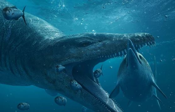 'Sát thủ tối thượng kỷ Jura' dài 12 m hiện hình bên bờ biển