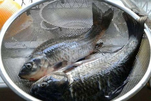 Cá tanh, đừng thêm rượu và giấm! Mách bạn một gia vị có sẵn trong bếp hiệu quả gấp nhiều lần