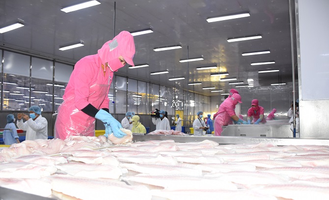 Xuất khẩu thủy sản nỗ lực về đích