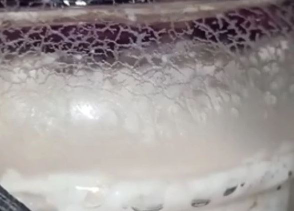 Clip: Cận cảnh quá trình nuôi con mẻ, một loại gia vị được làm từ cơm