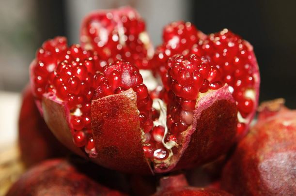 Thứ quả nhỏ bé được mệnh danh là 'thần dược' trong Đông y: Chị em nên ăn nhiều để bổ sung collagen và chữa triệt để 6 căn bệnh vặt