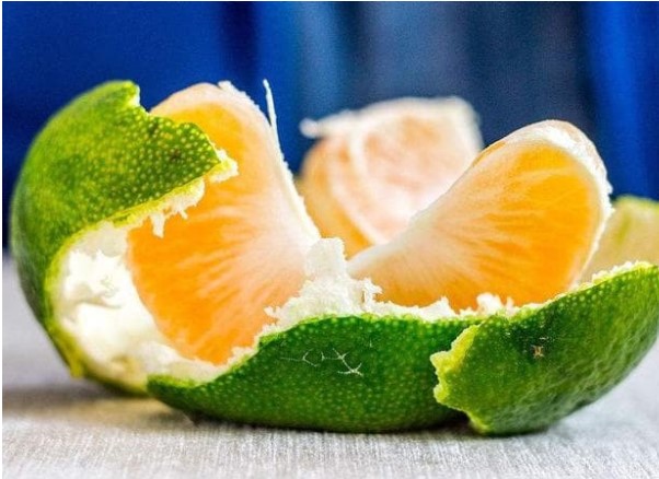 Đặt loại vật này trong phòng ngủ có thể gia tăng vận may! Nhiều người tiếc vì không biết sớm