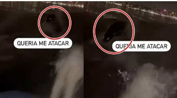 Khoảnh khắc sinh vật lạ ở biển có đôi mắt phát sáng đuổi theo ngư dân gây sốt mạng xã hội