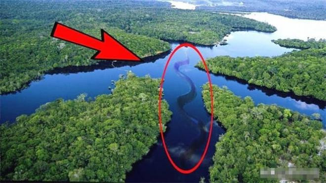 Tại sao vẫn chưa có một cây cầu nào bắc qua sông Amazon?