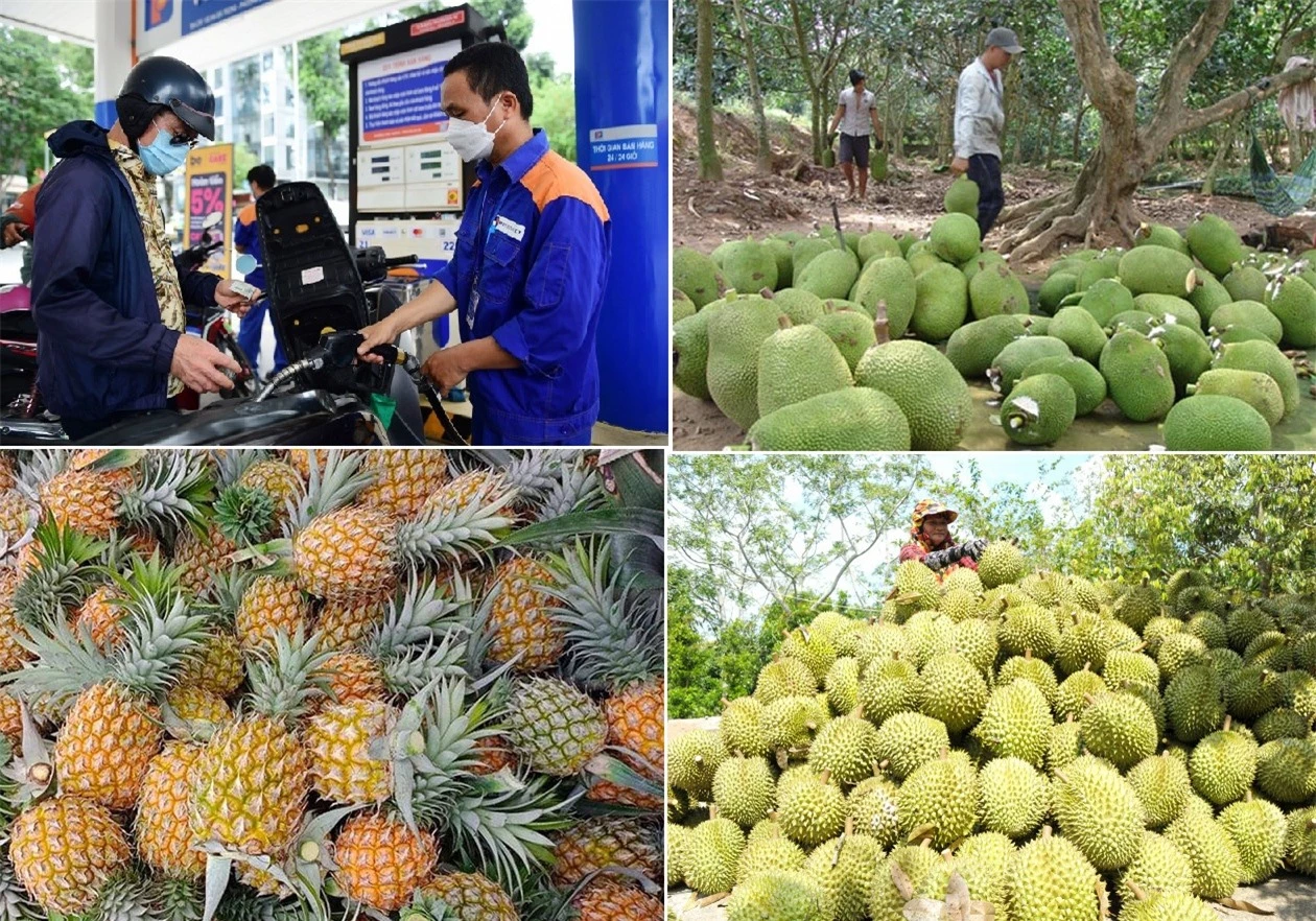 Tiêu dùng trong tuần (18-24/12/2023): Giá mít giảm sâu, sầu riêng tăng cao