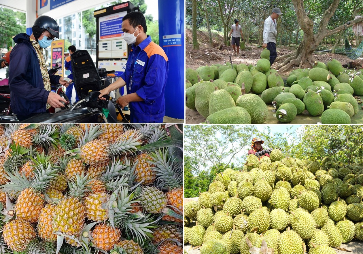 Ti&#xEA;u d&#xF9;ng trong tu&#x1EA7;n (18-24/12/2023): Gi&#xE1; m&#xED;t gi&#x1EA3;m s&#xE2;u, s&#x1EA7;u ri&#xEA;ng t&#x103;ng cao