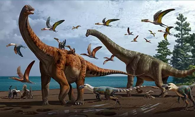 Nhện, khủng long, chim... những con vật này có xì hơi không?