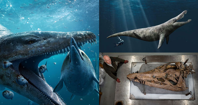 Ph&#xE1;t hi&#x1EC7;n &#x111;&#x1EA7;u l&#xE2;u c&#x1EE7;a qu&#xE1;i v&#x1EAD;t bi&#x1EC3;n kh&#x1ED5;ng l&#x1ED3;: R&#x1EE3;n ng&#x1B0;&#x1EDD;i v&#xEC; ngo&#x1EA1;i h&#xEC;nh d&#x1ECB; h&#x1EE3;m, k&#xED;ch th&#x1B0;&#x1EDB;c m&#x1EDB;i g&#xE2;y cho&#xE1;ng