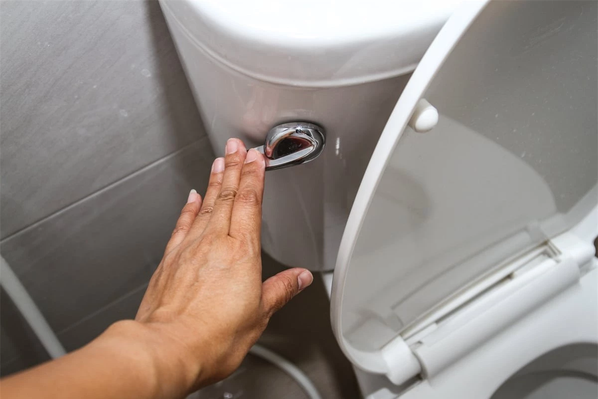 Để tránh côn trùng bò lên 'vùng nhạy cảm' của bạn, hãy xả nước trước và sau khi sử dụng nhà vệ sinh ở khách sạn. (Ảnh minh họa)