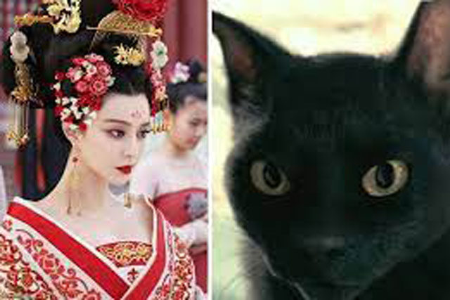 Tài giỏi, độc ác khét tiếng như Hoàng hậu Võ Tắc Thiên, chẳng sợ bất cứ thứ gì trên đời nhưng lại rất sợ mèo? Lý do đằng sau là gì