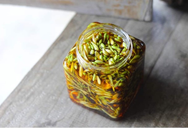 Hoa đu đủ đực ngâm mật ong có tác dụng gì?