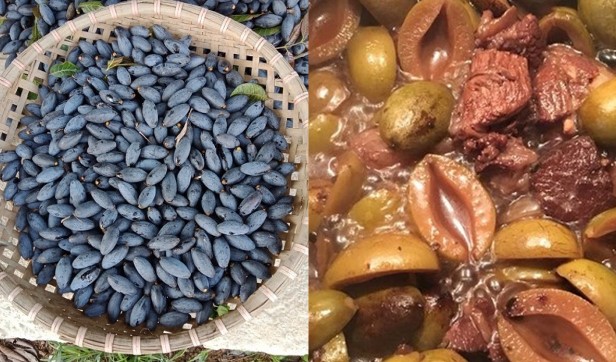 Việt Nam có loại quả ‘đắt hơn thịt’: Được ví như ‘vị thuốc quý’, bổ dưỡng vô cùng!