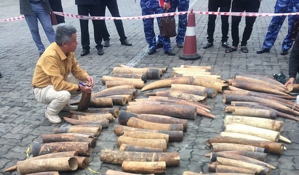 Gần 16.000 vụ vi phạm trong lĩnh vực hải quan bị xử lý