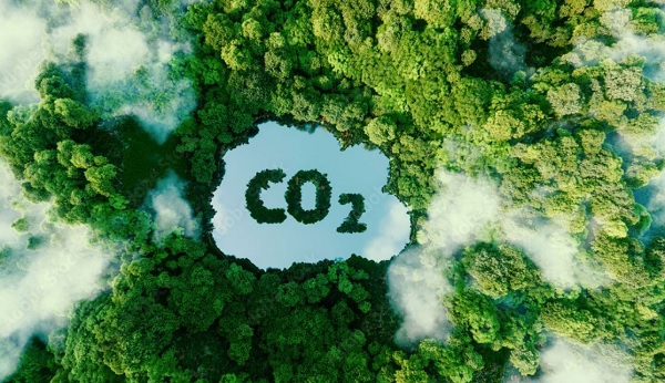 Ngành nông nghiệp ký văn bản chuyển giao 10,3 triệu tấn CO2 cho WB