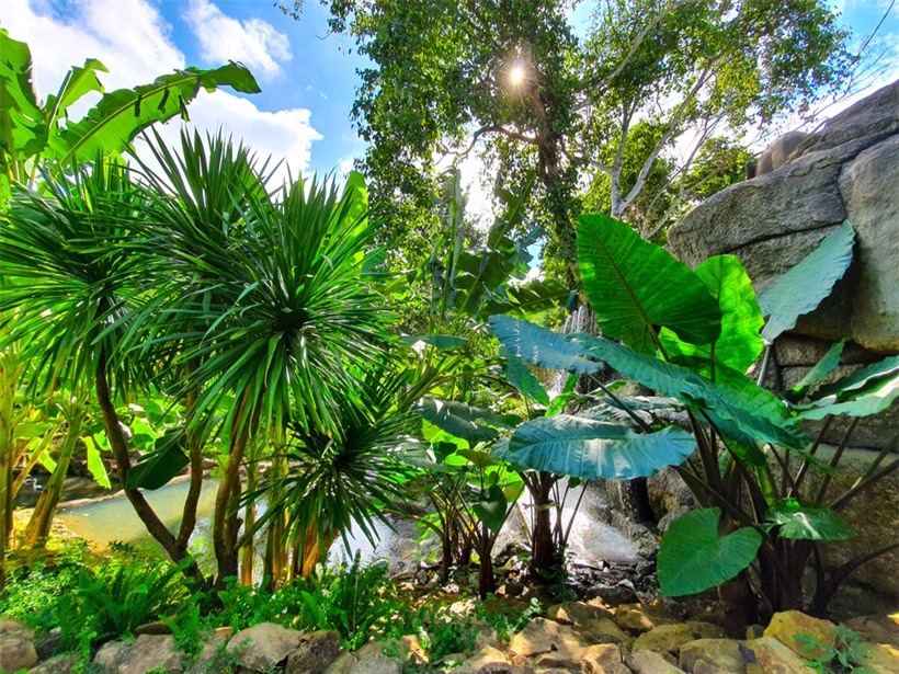 Ban đầu, Vườn quốc gia Troh Bư là nơi lưu giữ, bảo tồn nguồn gen các loài thực vật quý hiếm như lan rừng cho đến thảo dược làm thuốc. Sau đó được phát triển thành một khu du lịch sinh thái thu hút du khách đến tham quan, khám phá.