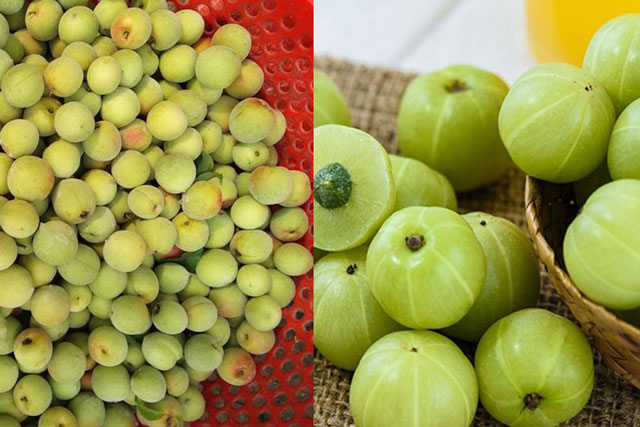 3 loại quả có vị chua chát nhưng lại mang tác dụng y học không tưởng, là thuốc chống ung thư tự nhiên