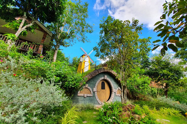 Khám phá khu vườn cảnh đẹp nhất Tây Nguyên