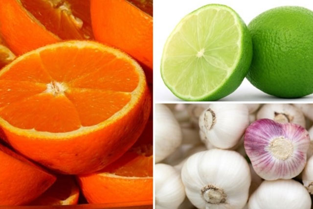 Đặt vỏ của loại quả này trước đầu giường giúp làm sạch phổi, ngủ ngon hơn trước mà ít người biết tới