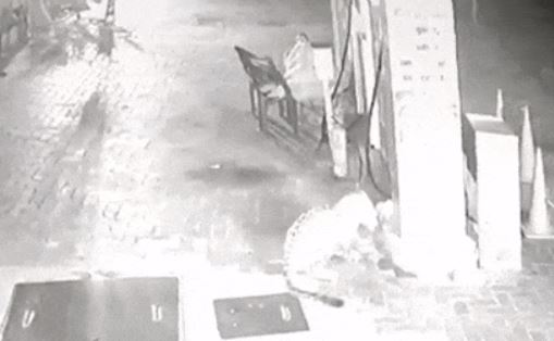 Dùng chiêu 'giả chết' lừa báo hoa mai, người đàn ông tim đập chân run nhận cái kết bất ngờ