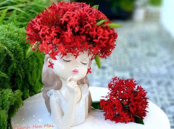 Tử vi hàng ngày - Thứ Bảy 30/12/2023 của 12 cung hoàng đạo