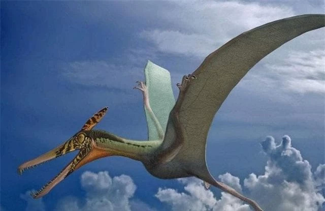 pterosaurs.jpg 0