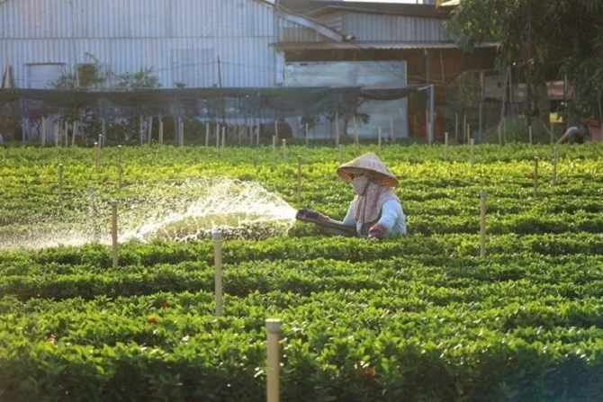 nhầm tôn vinh người trồng hoa cùng mong muốn phát huy truyền thống của làng hoa hơn 100 tuổi 