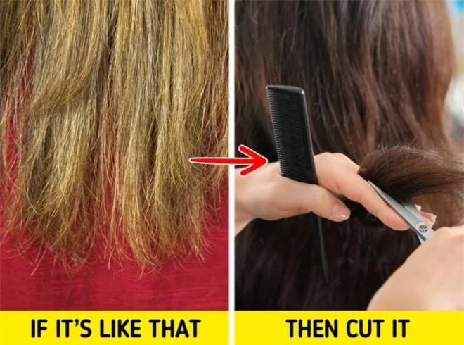 cách chăm sóc tóc  3