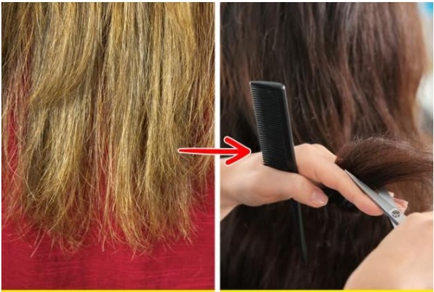 Nguyên nhân dẫn đến tóc chẻ ngọn, rụng khi tắm và 9 sự thật giúp bạn cải thiện chất lượng tóc của mình